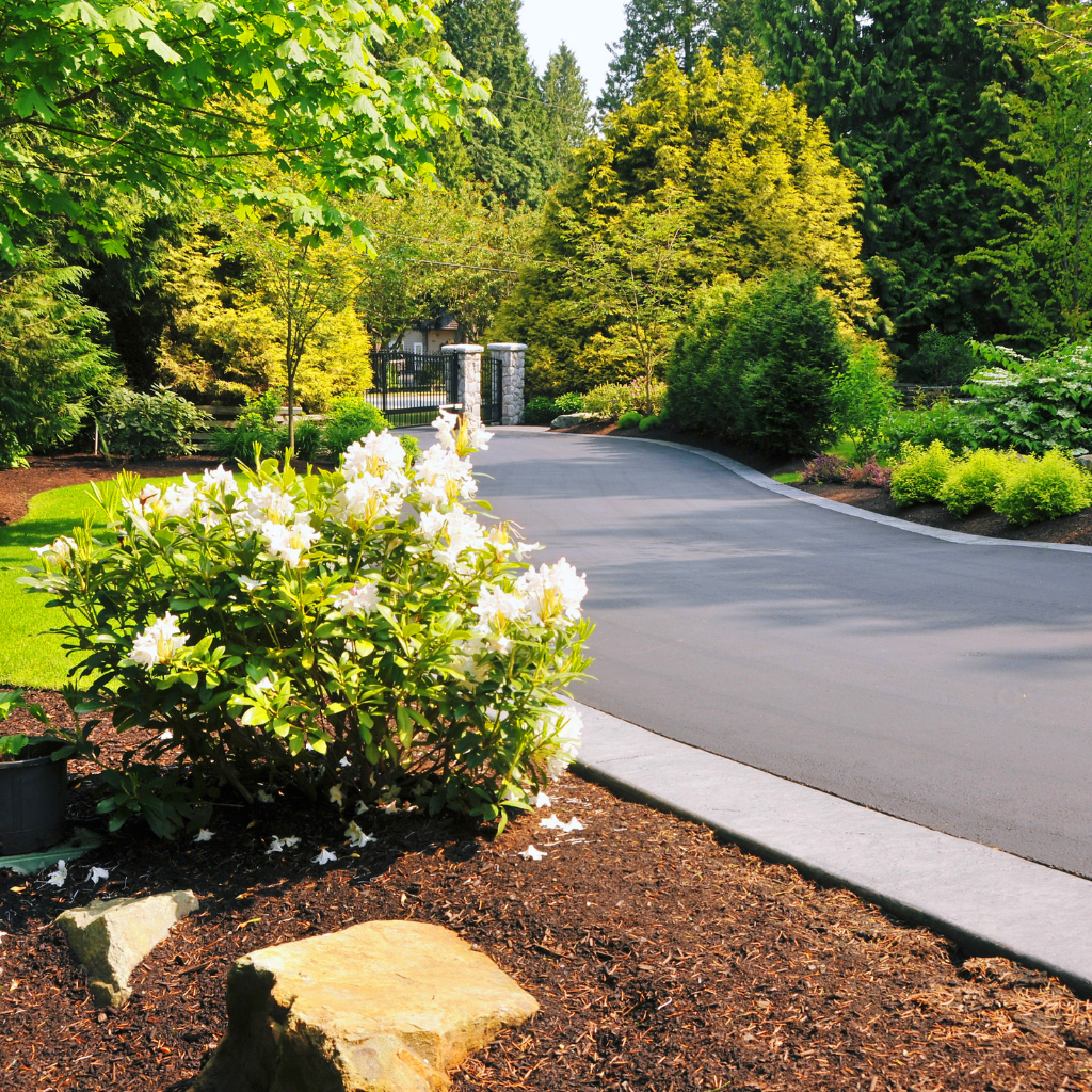 Local Driveway Solutions by WCD in Mold